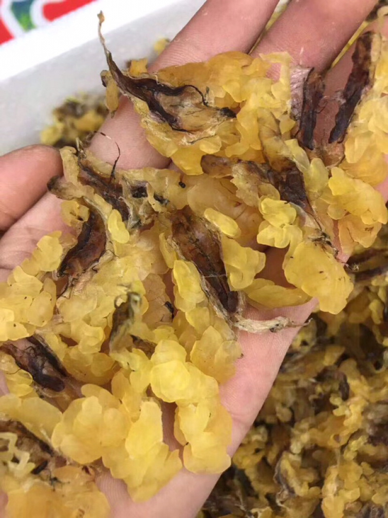 包邮雪蛤朝鲜雪蛤油林蛙油滋补干货女性健康食材养颜护肤美容