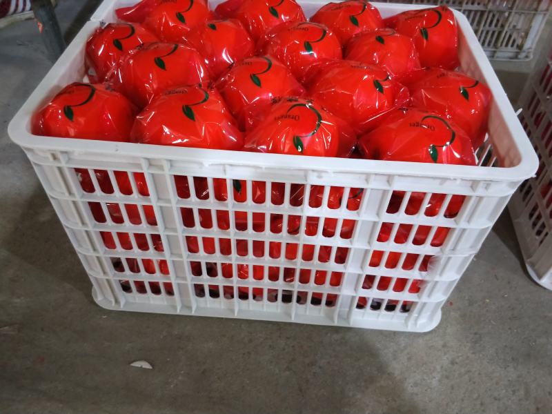 湖北精品夏橙60起步产地全国各地直发包发包办一条龙服务