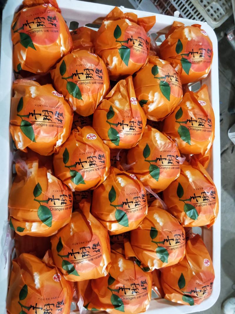 湖北精品夏橙60起步产地全国各地直发包发包办一条龙服务