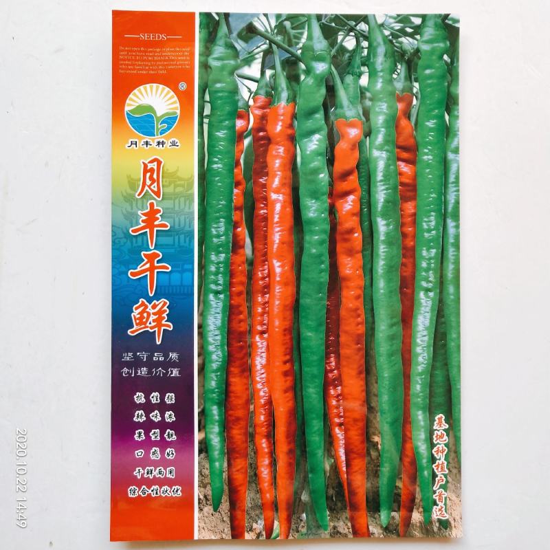 苏干二号螺丝线椒种子干鲜两用品种高产螺丝线椒一杂交种子
