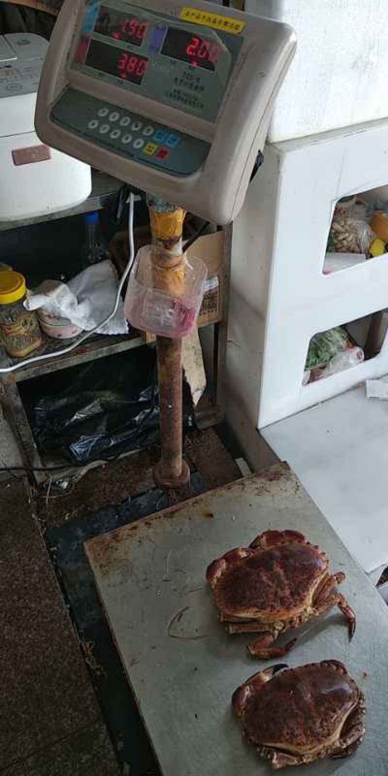 热销新鲜鲜活美味面包蟹，质量保证，价格美丽