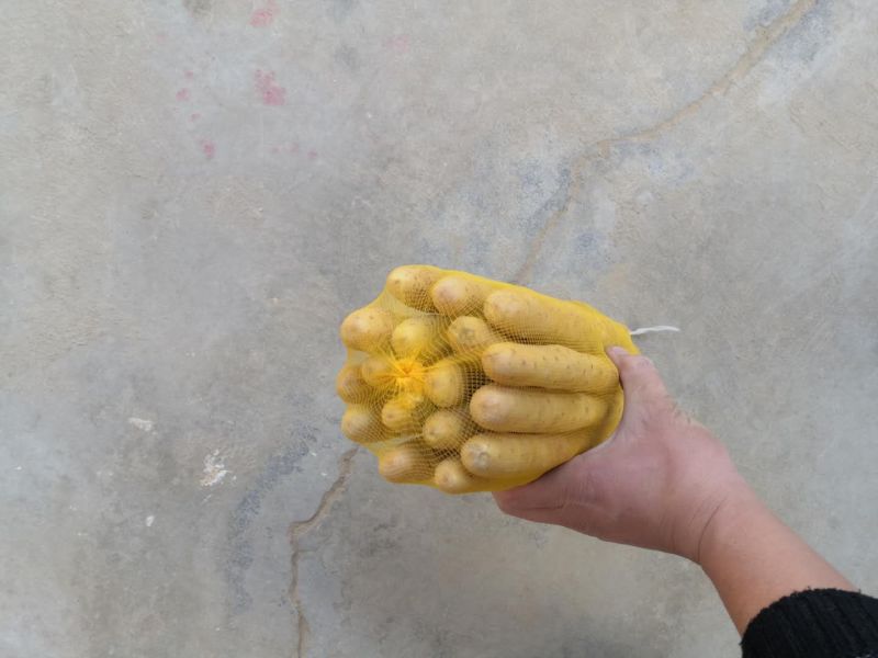 兴开合作社大量批发出售小白嘴白山药麻山药