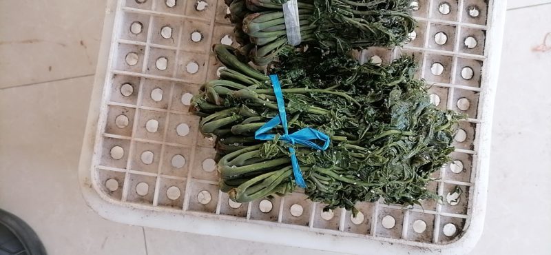 大量出售香椿芽咸菜，常年供货寻全国各地批发商，代理商