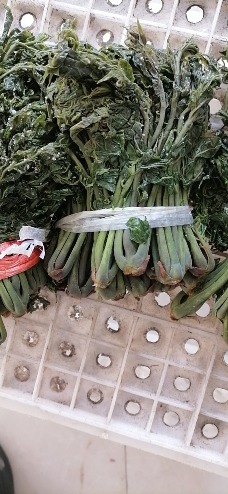 大量出售香椿芽咸菜，常年供货寻全国各地批发商，代理商