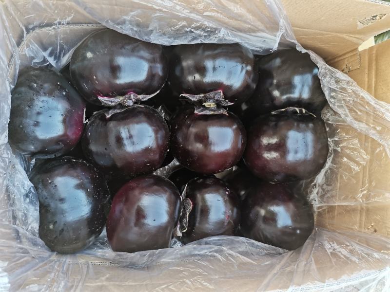 圆茄子，颜色又黑又亮，个头大，形状好，价格便宜质量有保证
