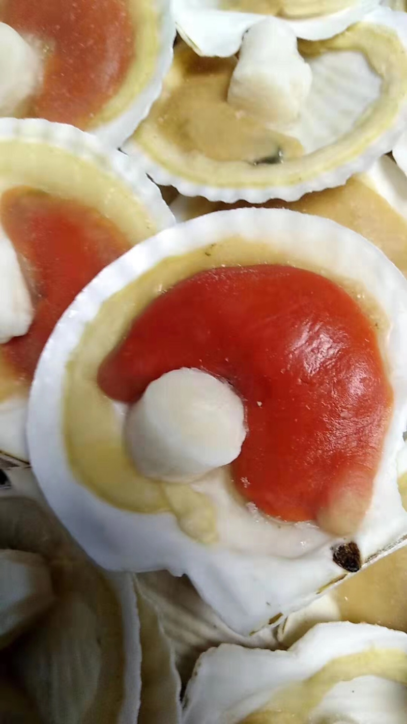 半壳扇贝原装原汁化冻即用夏夷贝餐饮烧烤食材肥美贝类