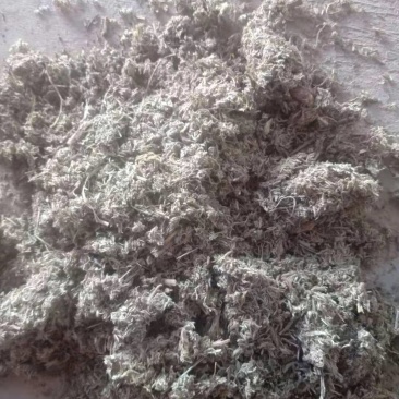 茵陈切片陈货出售，货干无杂志，可兽用，另出售鲜茵陈