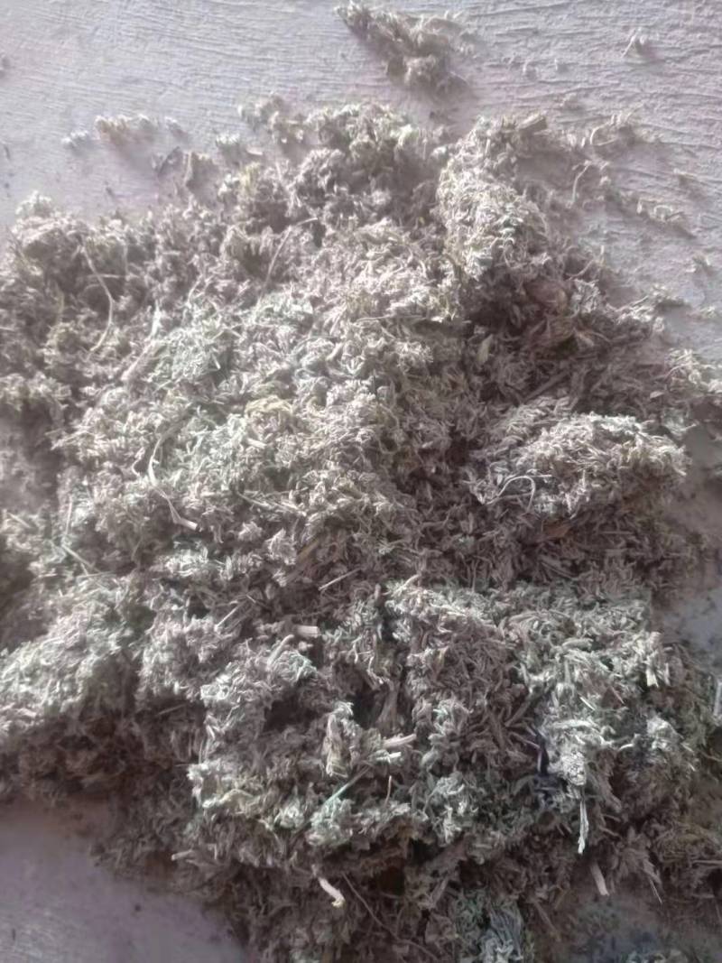 茵陈切片陈货出售，货干无杂志，可兽用，另出售鲜茵陈