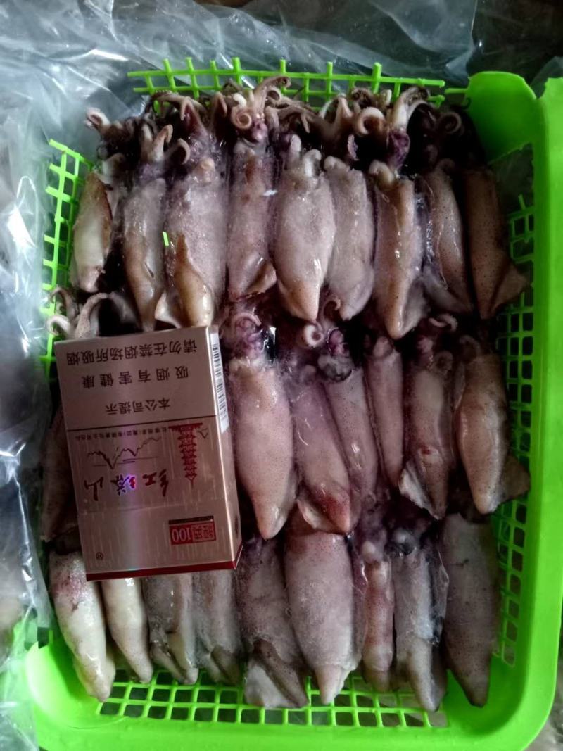 鱿鱼！！！！！品质保证靓个头个个都一样大