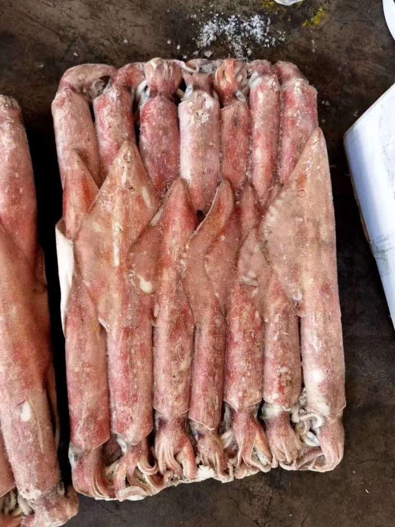 鱿鱼！！！！！品质保证靓个头个个都一样大