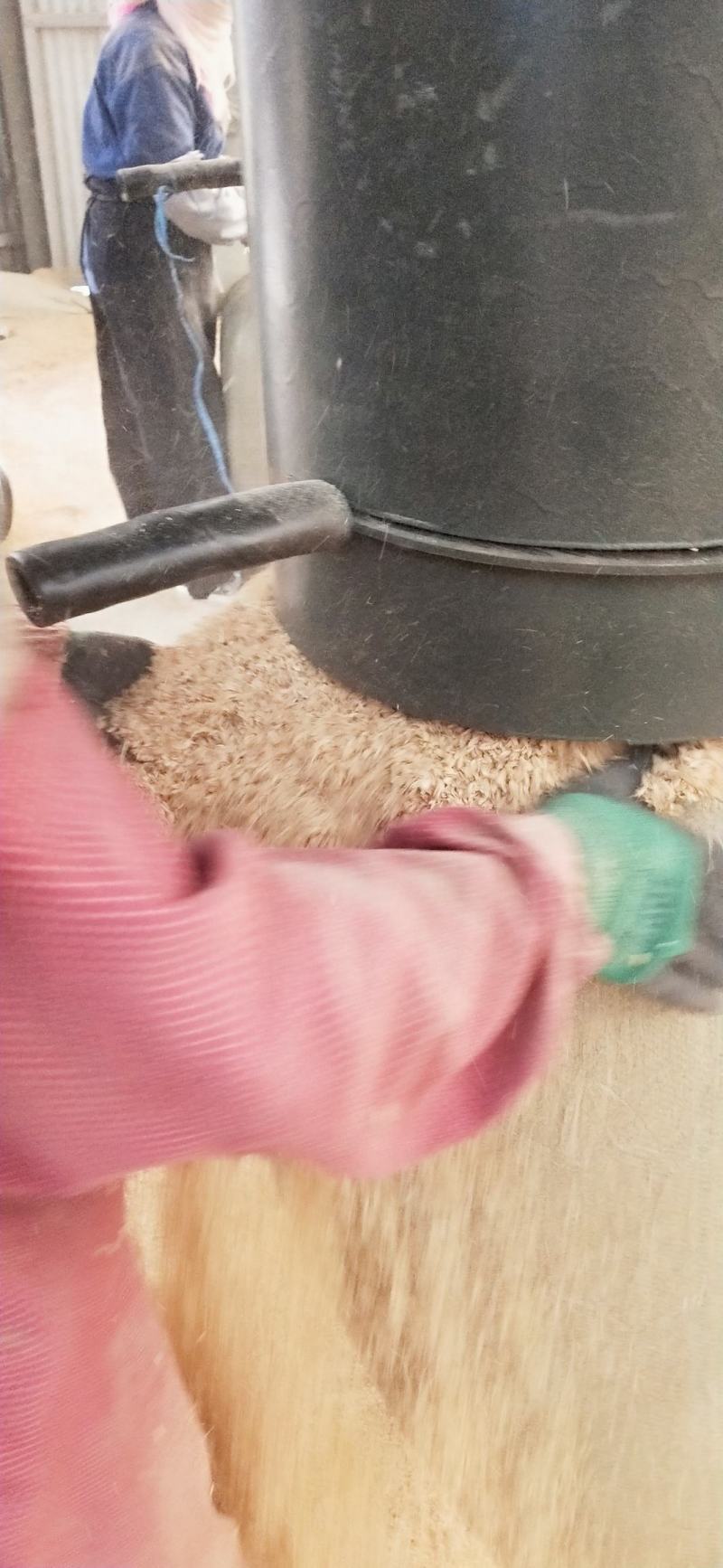 大量供应稻壳普通稻壳量大从优