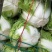 大白菜秦杂2号，精品大白菜不烧心全国供应