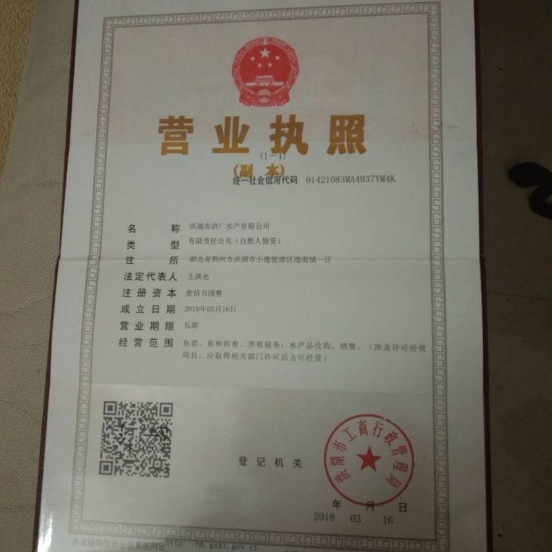 草鱼苗，洪湖本地土塘养殖苗，抗病毒强，适应性强！