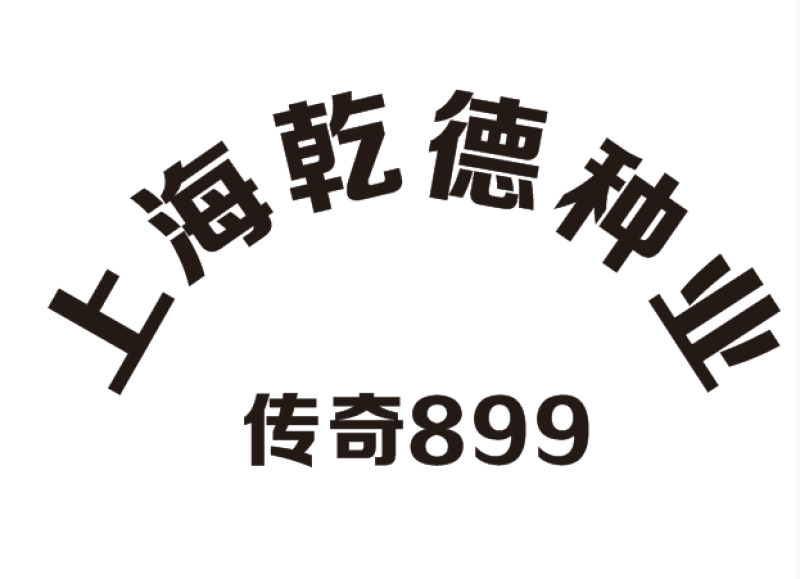 寿光传奇899黄瓜种子全雌油亮越冬早春把短头圆带瓜强