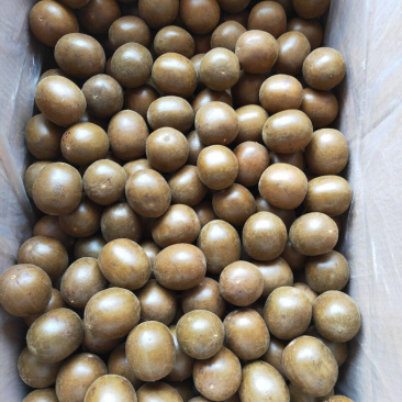 罗汉果精品无硫个头大籽饱满产地直销一手货源