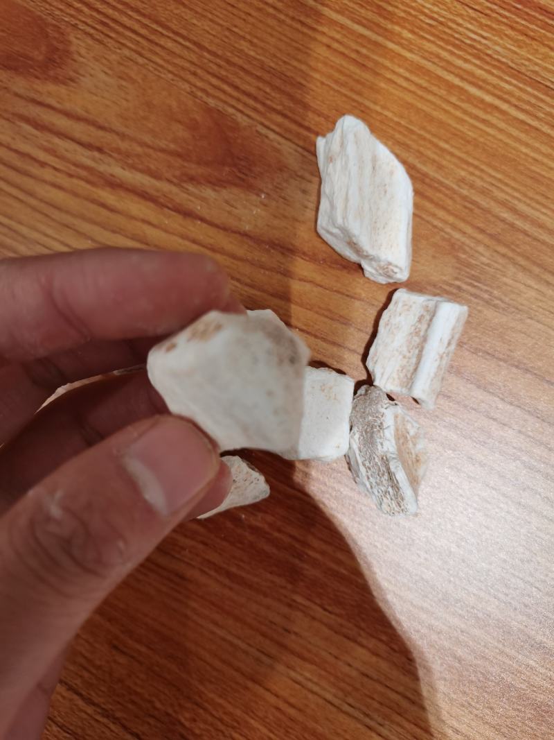 龙骨中药材宁夏生龙骨