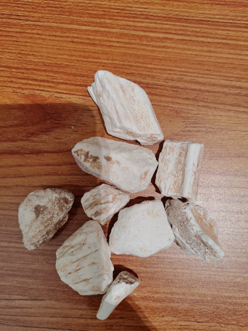 龙骨中药材宁夏生龙骨