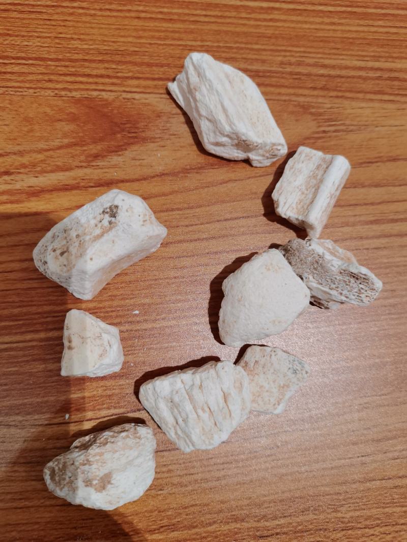 龙骨中药材宁夏生龙骨