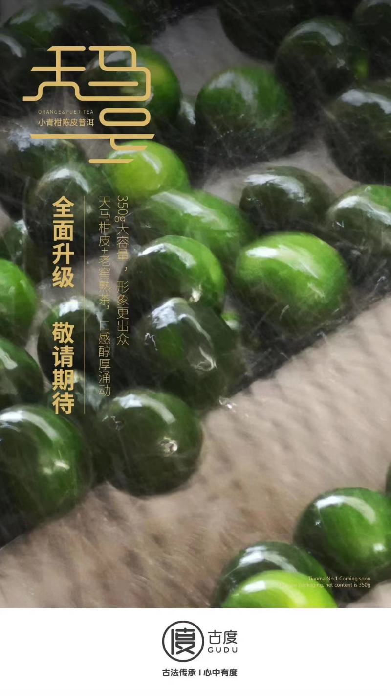 小青柑买一送一梅江圈枝小青柑甜润滑厚300克一罐