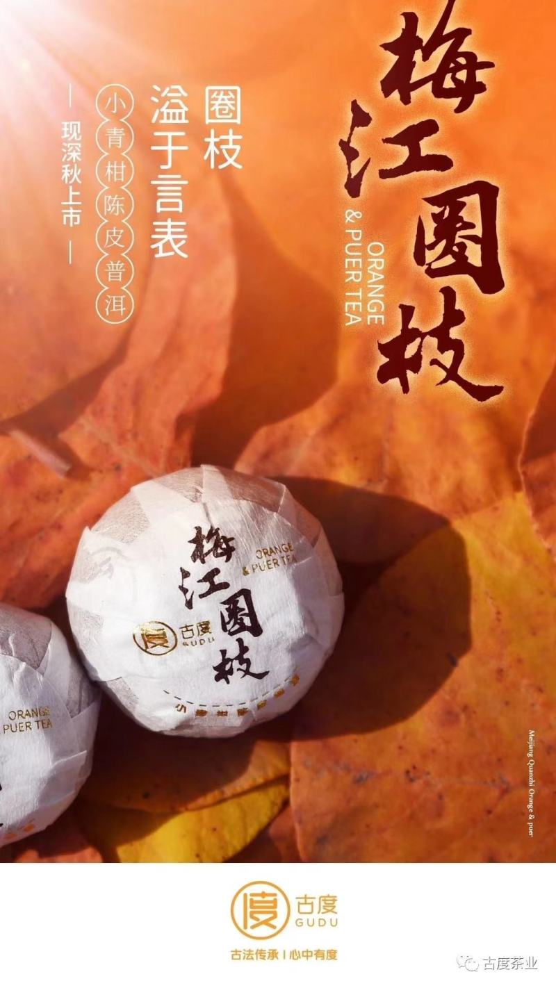 小青柑买一送一梅江圈枝小青柑甜润滑厚300克一罐