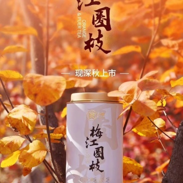 小青柑买一送一梅江圈枝小青柑甜润滑厚300克一罐