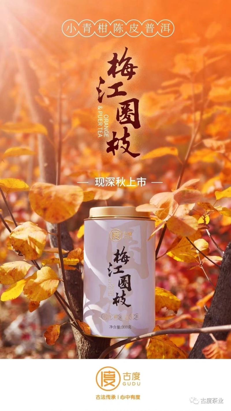 小青柑买一送一梅江圈枝小青柑甜润滑厚300克一罐