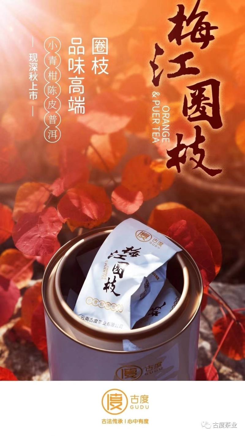 小青柑买一送一梅江圈枝小青柑甜润滑厚300克一罐