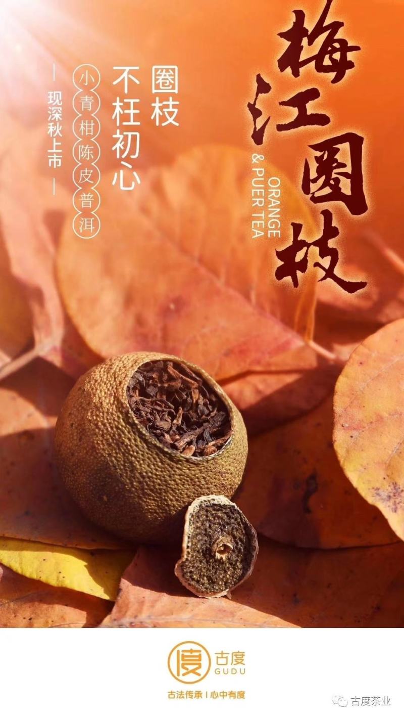 小青柑买一送一梅江圈枝小青柑甜润滑厚300克一罐
