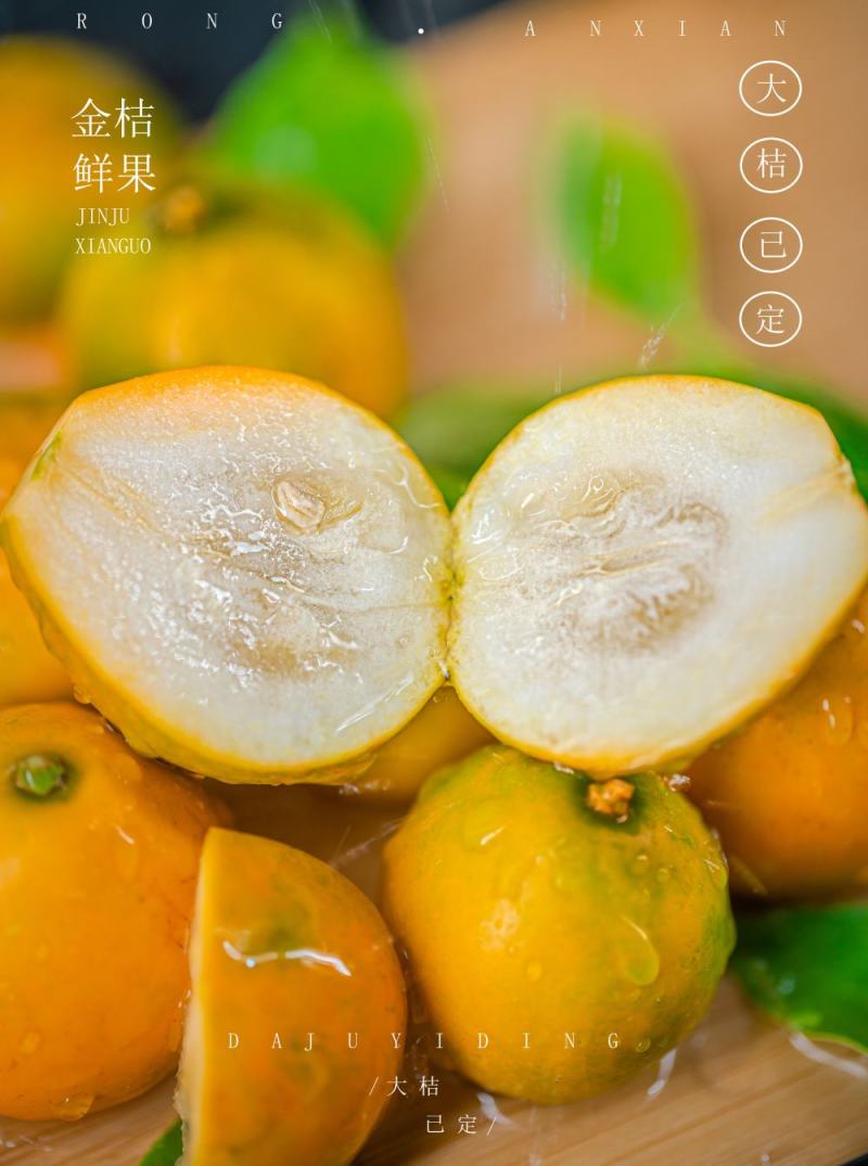 融安金桔金桔小金桔礼盒包邮