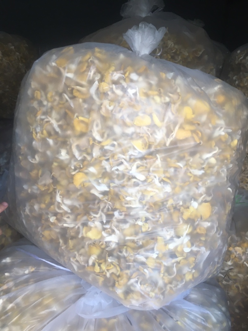 榆黄蘑干品，颜色鲜艳质量保证
