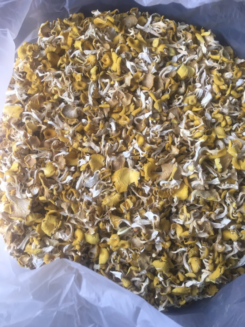 榆黄蘑干品，颜色鲜艳质量保证