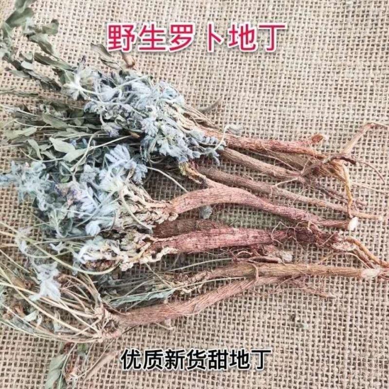 萝卜地丁中药材甜地丁野萝卜甜地丁，下单就送花茶一袋