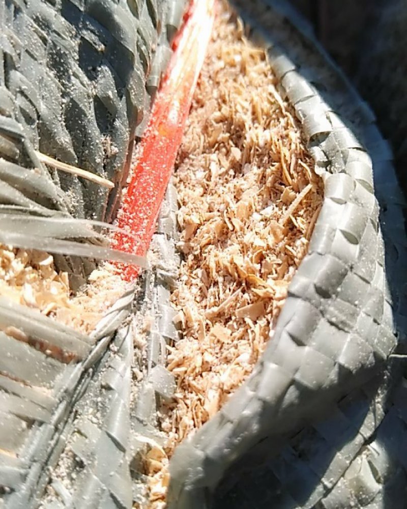 稻糠一级稻糠好稻糠