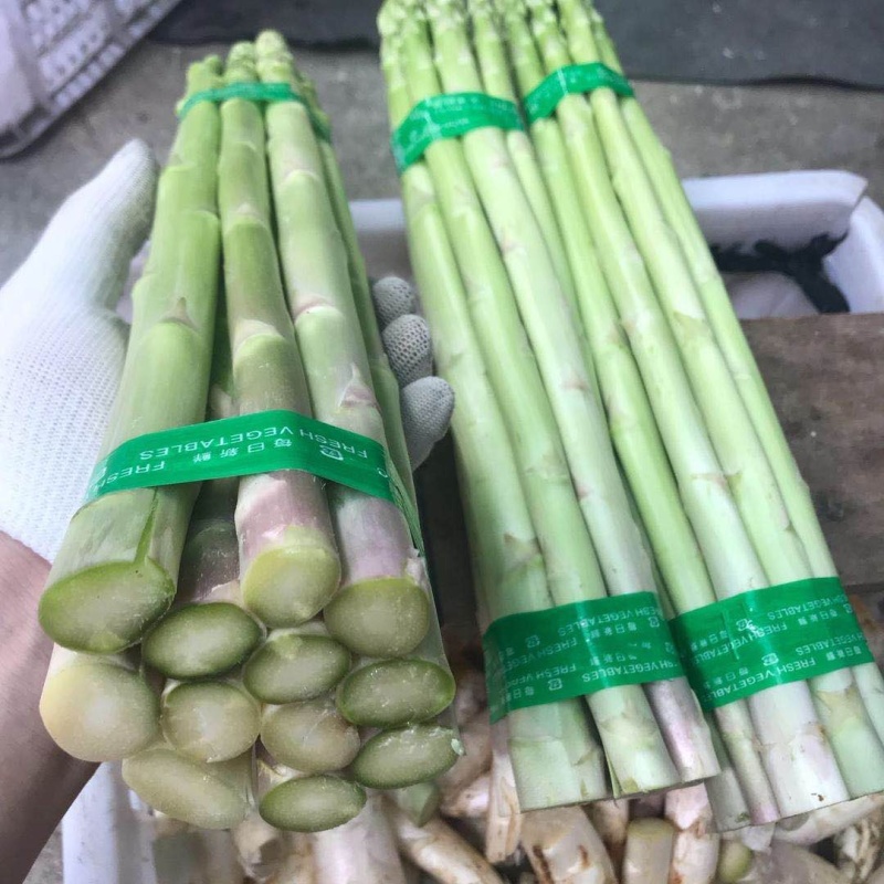 福建精品芦笋，尽量很好，货又漂亮，欢迎各位老板来与我生意