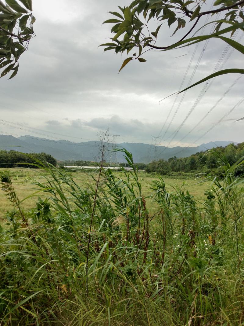 土地出租交通便利观光旅游农庄种养殖野外拓展CS