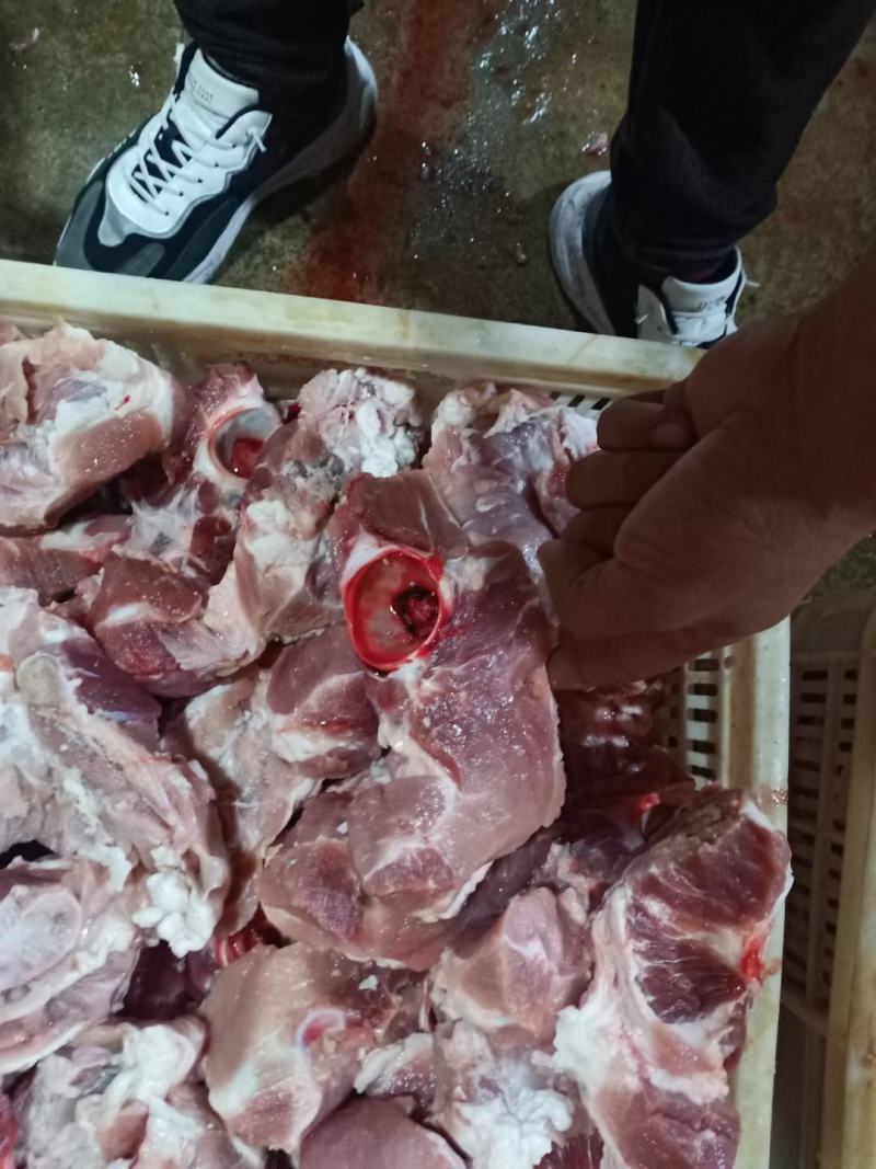 叉尾骨价格美丽厂家一手货源