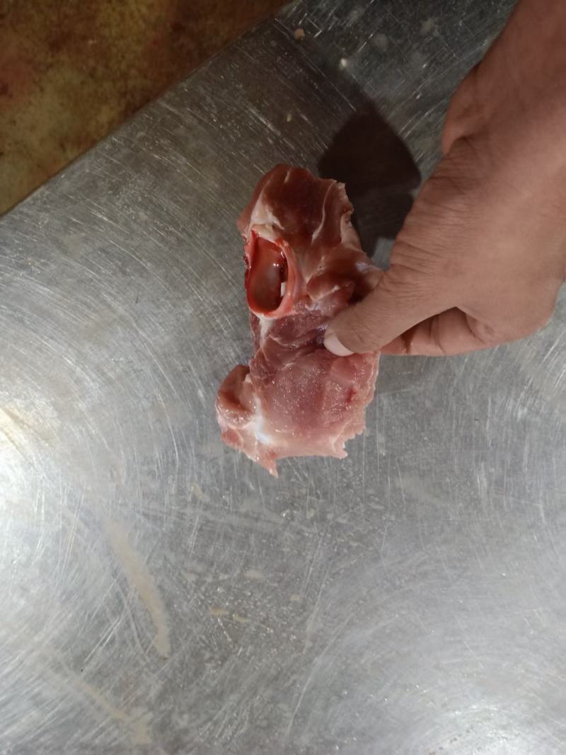 叉尾骨价格美丽厂家一手货源