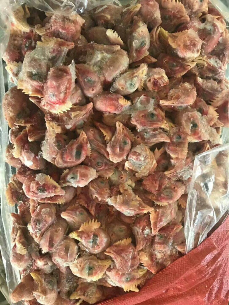 817鸡头，厂家直接发货-价格让你意想不到