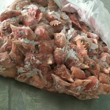 817鸡头，厂家直接发货-价格让你意想不到