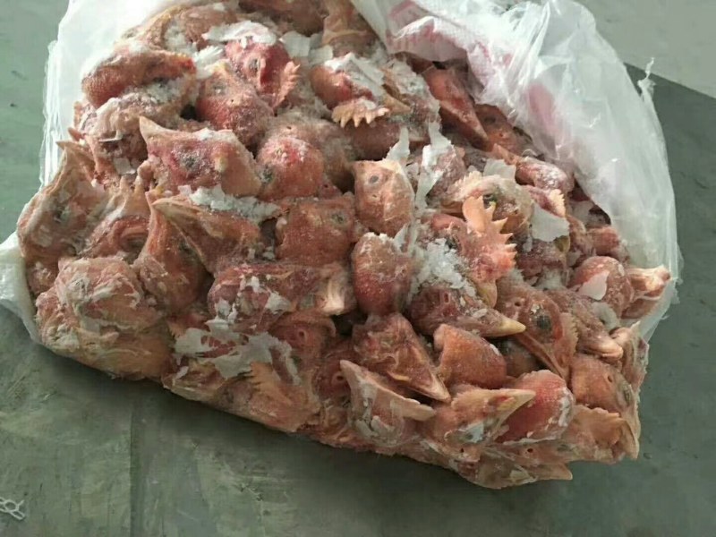 817鸡头，厂家直接发货-价格让你意想不到