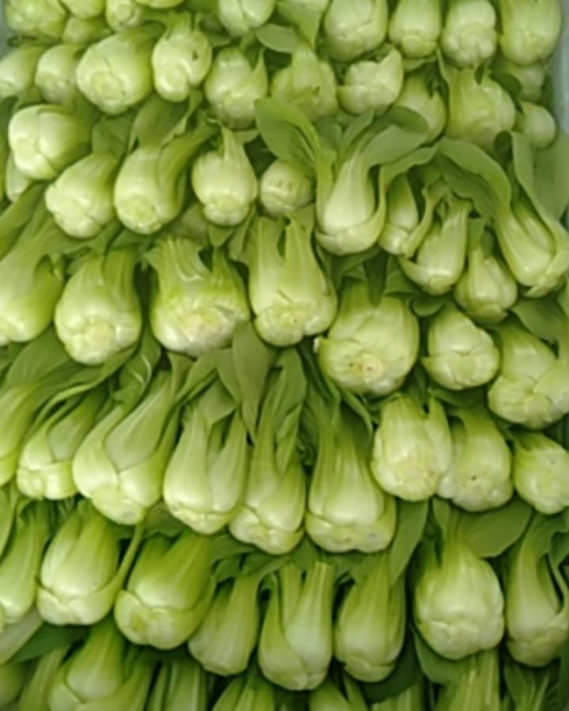 精品叶菜，基地直销，