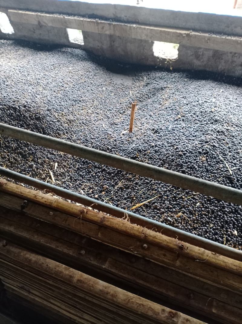 纯发酵羊粪！厂家直销纯羊粪！！！厂家直销羊粪