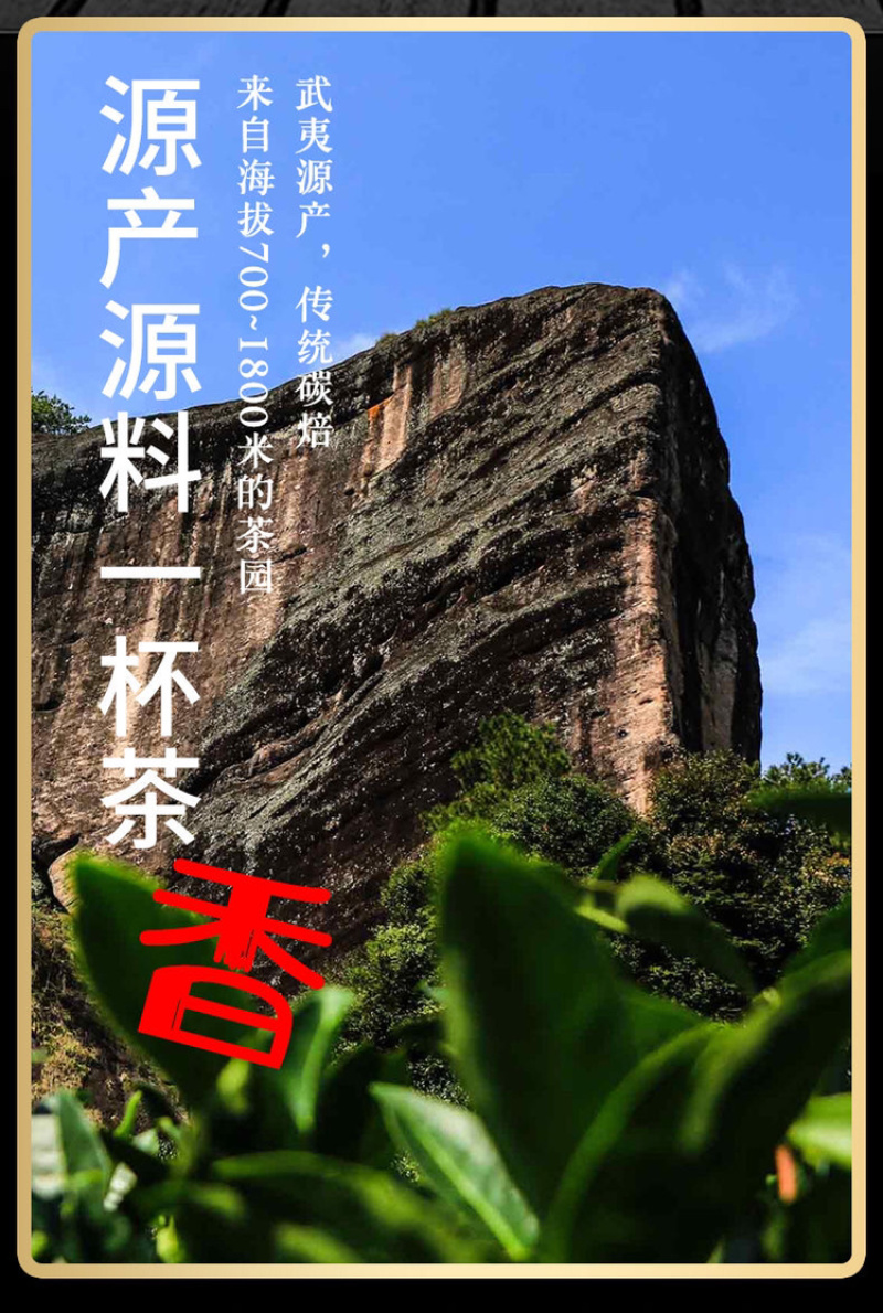 大红袍茶叶大红袍武夷岩茶浓香型乌龙茶袋装一斤装