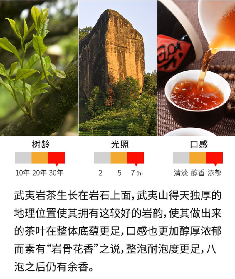 大红袍茶叶大红袍武夷岩茶浓香型乌龙茶袋装一斤装