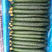 密刺黄瓜，条直，顶花带刺，25公分以上，有需要的可以联系