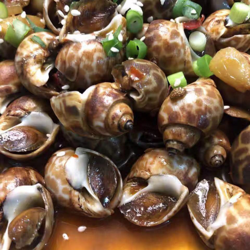 【有好货】花螺东风螺新鲜速冻花螺肉质鲜美