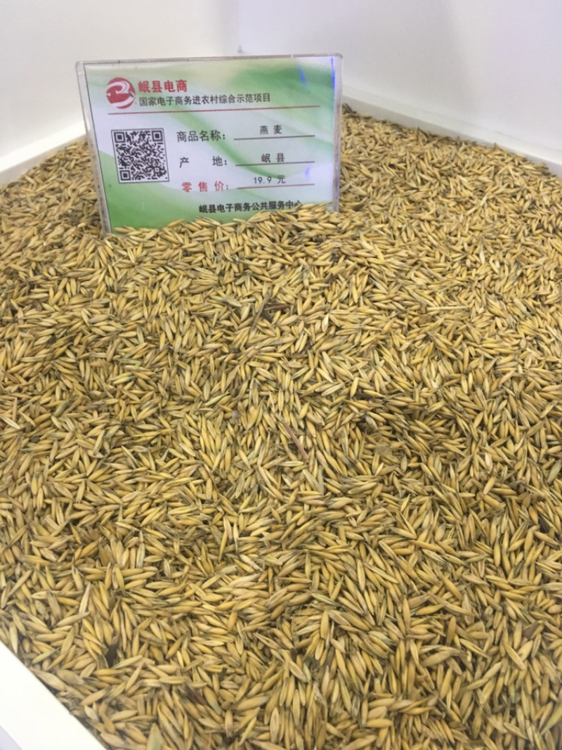 原产地直销甘肃定西岷县燕麦小粒