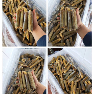 鲜活去沙嘴速冻贝类竹节蛏子刀把蛏王大竹蛏王鸭嘴蛏来片竹蛏