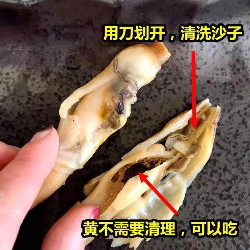 升级去沙新鲜蛏王肉竹节蛏肉海蛏肉鲜活现剥圣子肉圣王肉蛏子