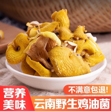 鸡油菌云南特产榆黄磨菇黄金菇磨菇干货批发产地直批